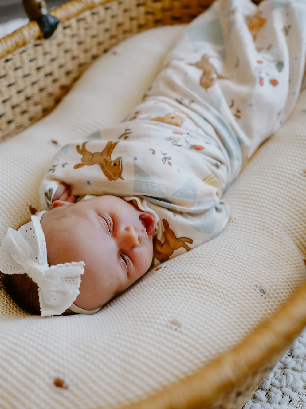 French Farmhouse - Swaddle