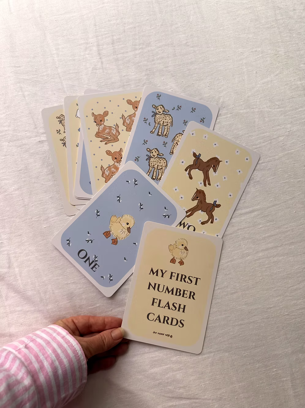 My First Number Flash Card Set