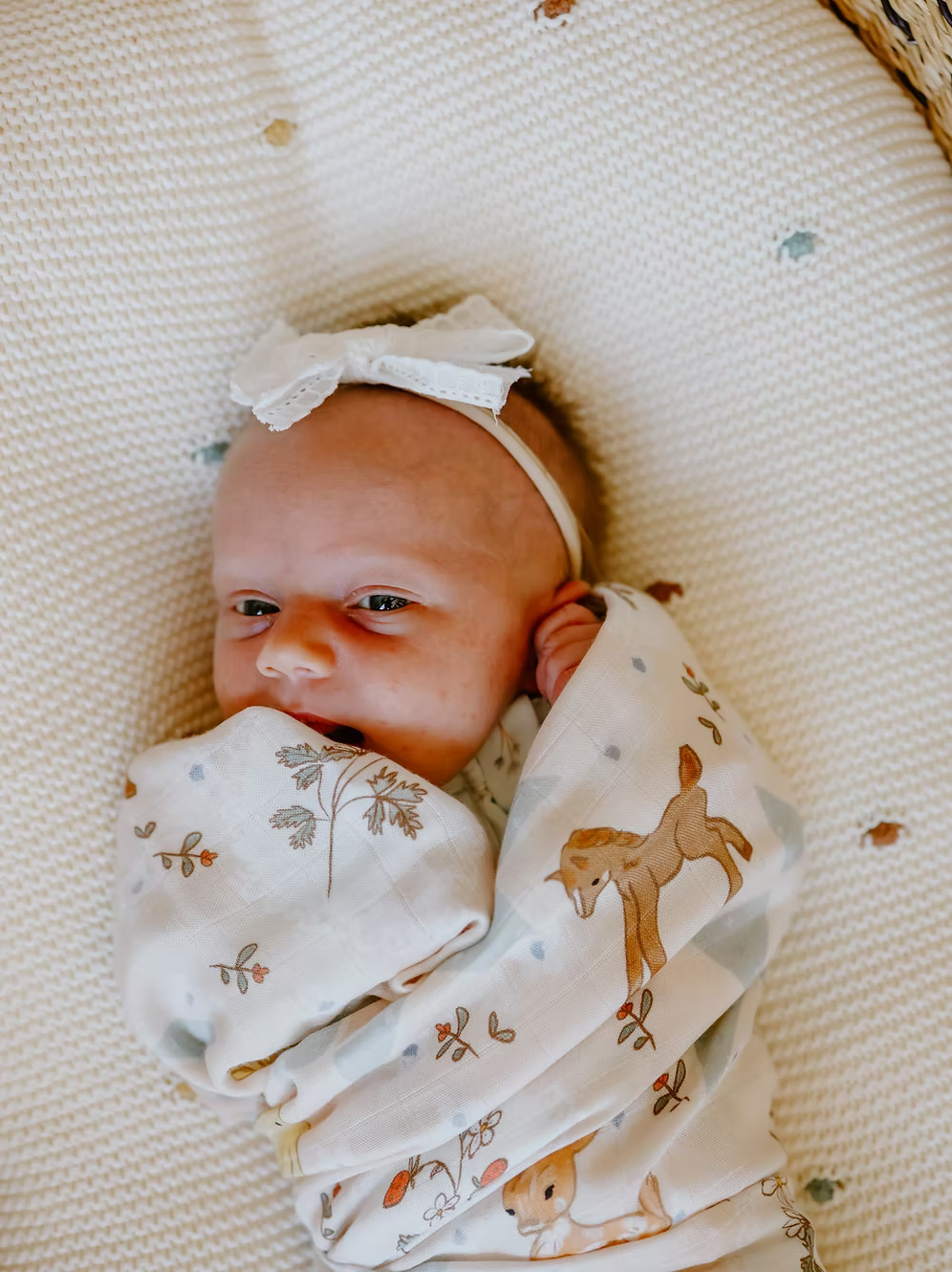 French Farmhouse - Swaddle