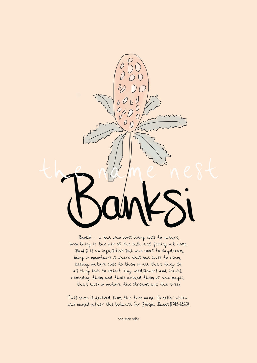 Banksi