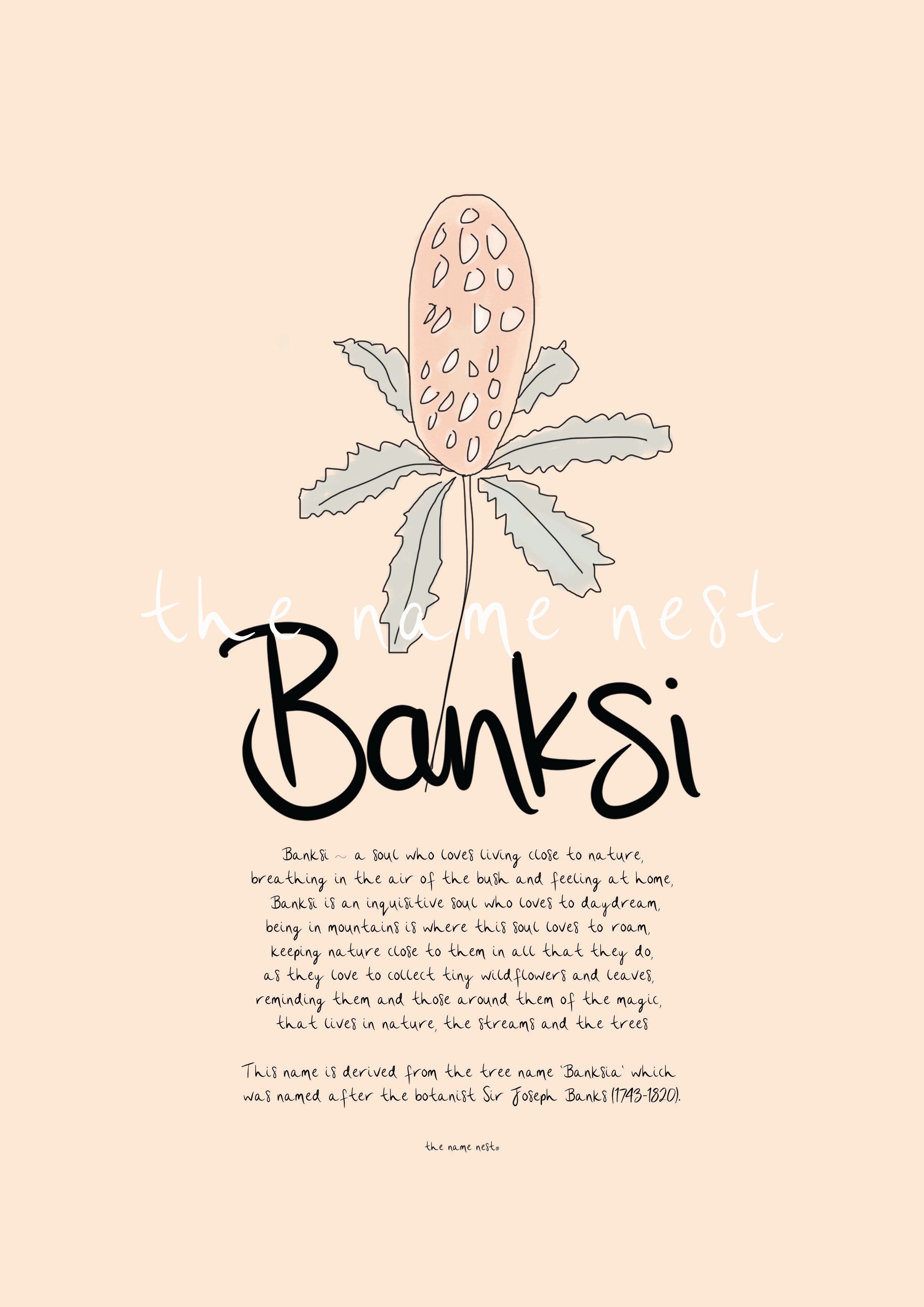 Banksi