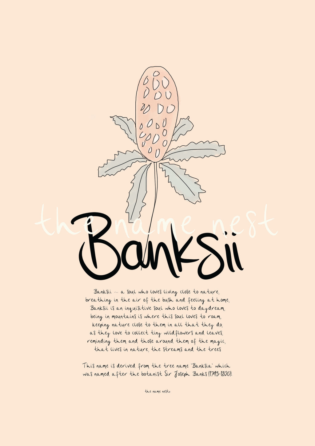 Banksii