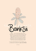 Banksii