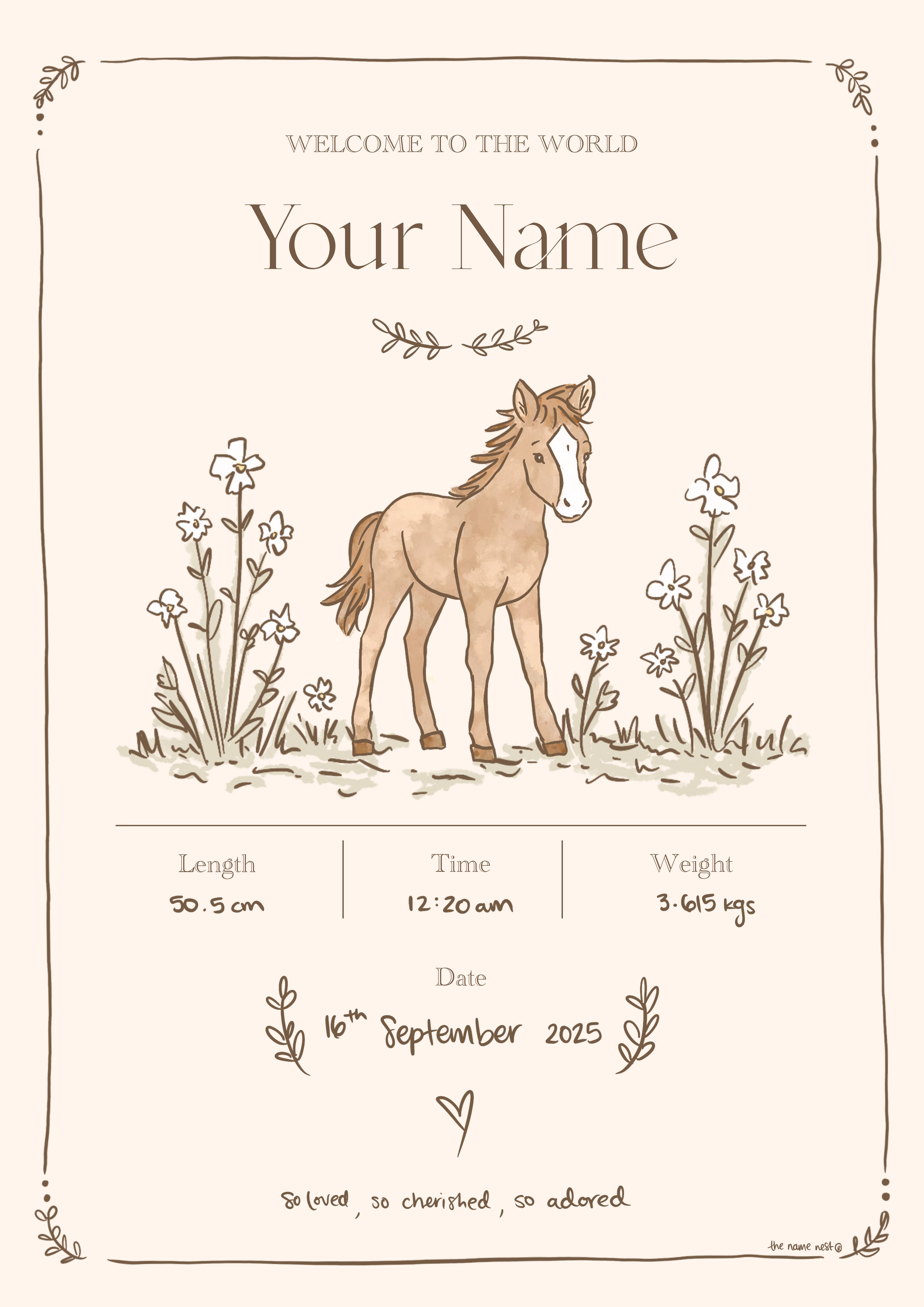 Birth Detail Foal Artwork