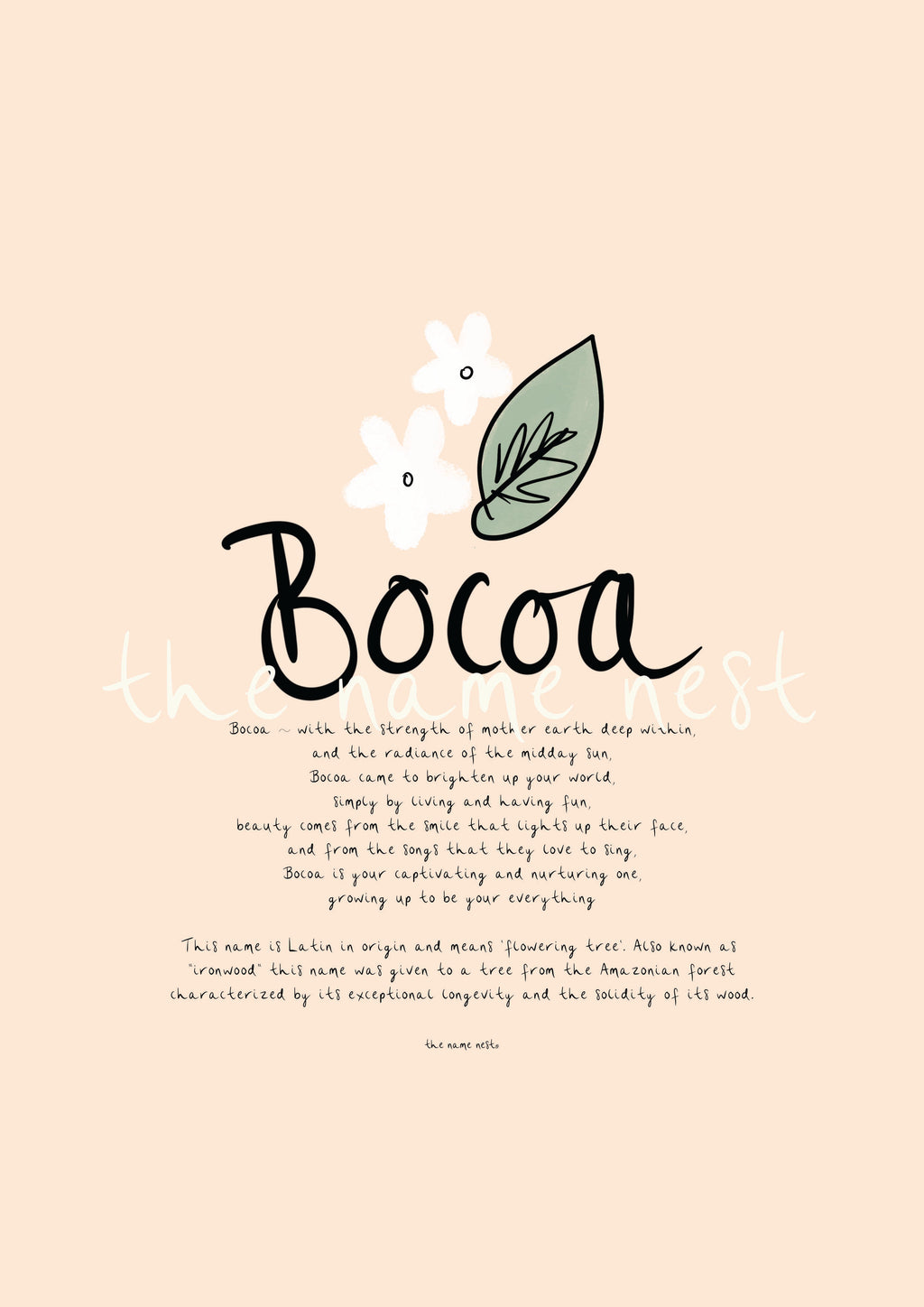 Bocoa
