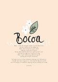 Bocoa