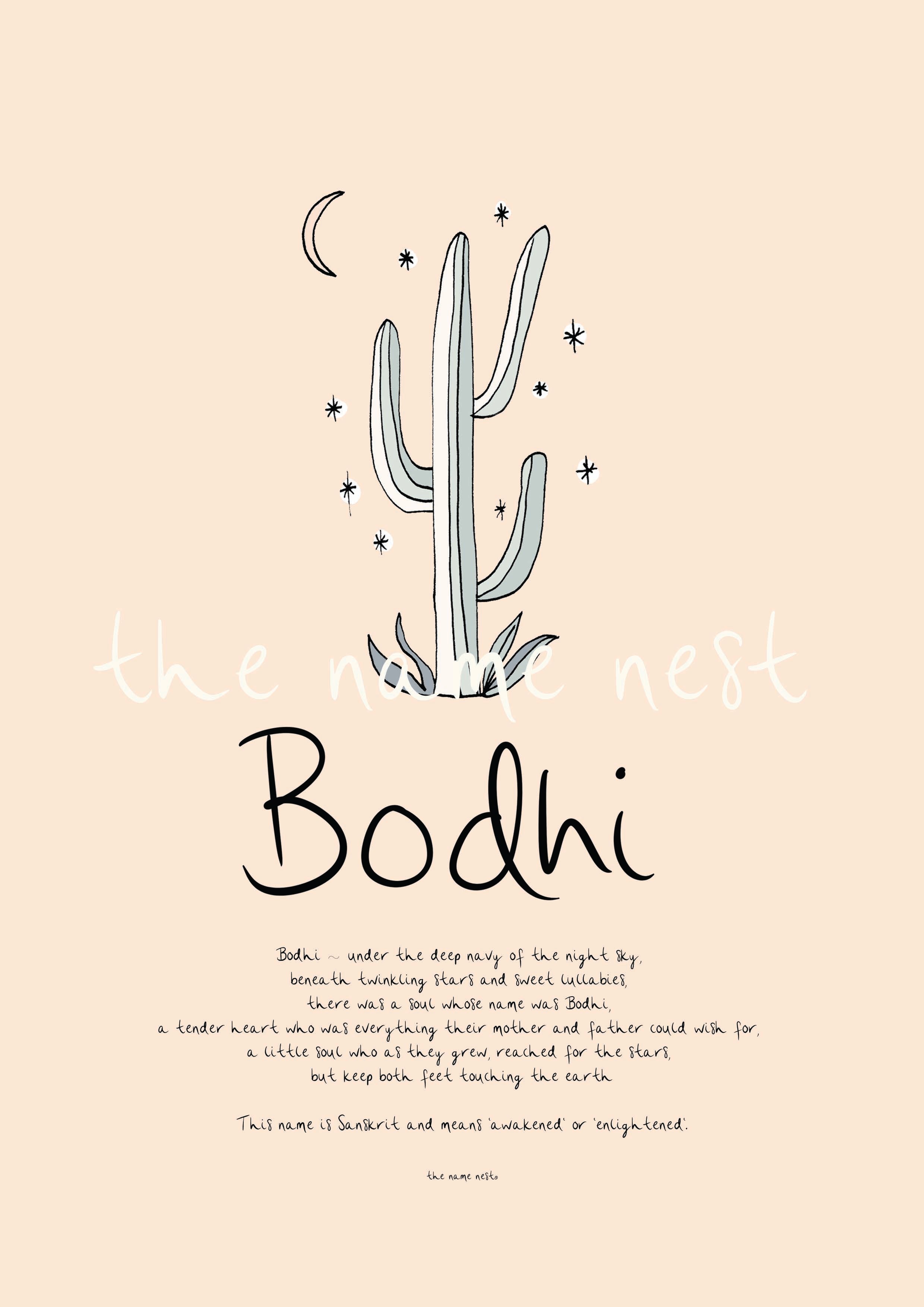 Bodhi