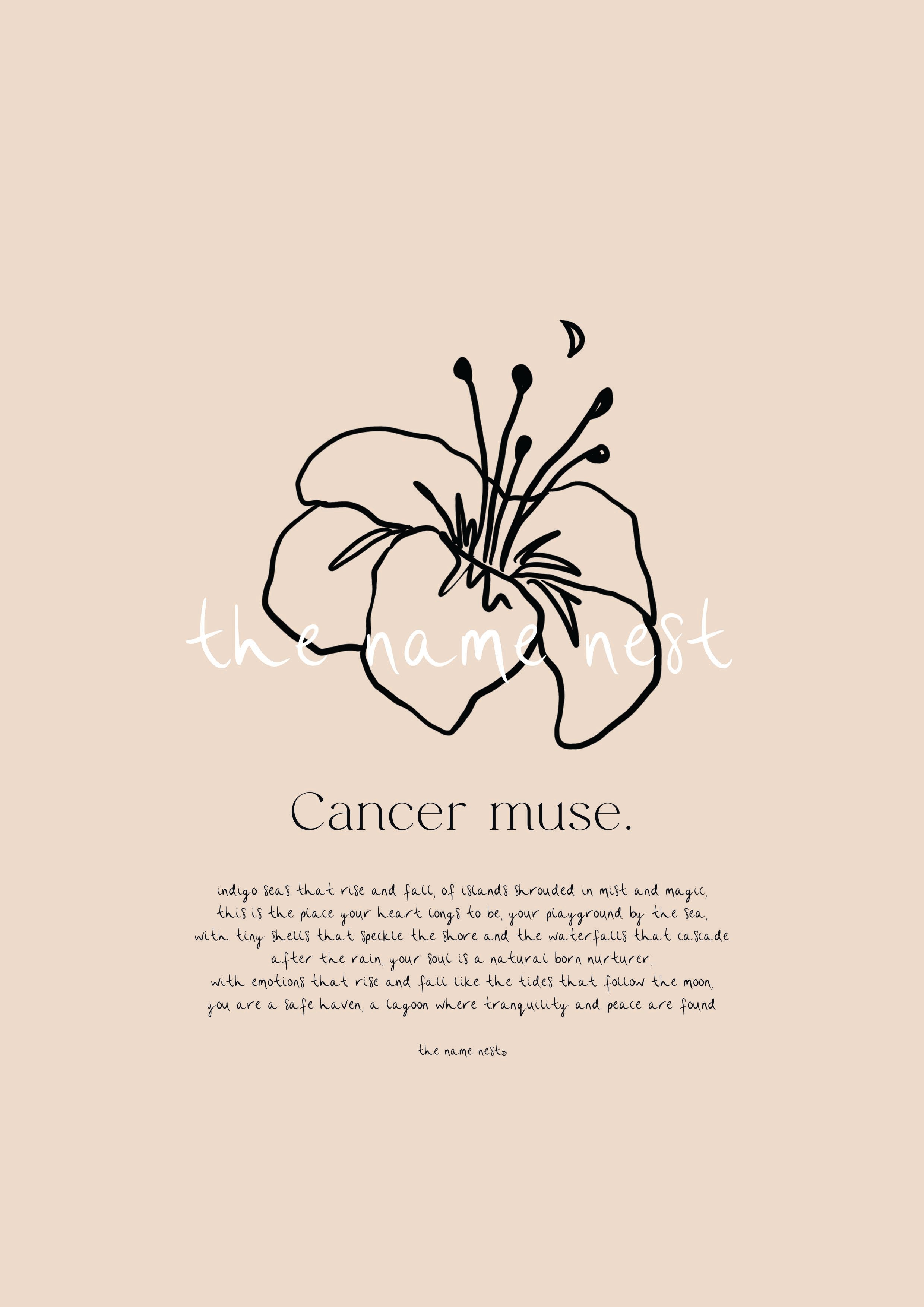 Zodiac Muse. Artworks