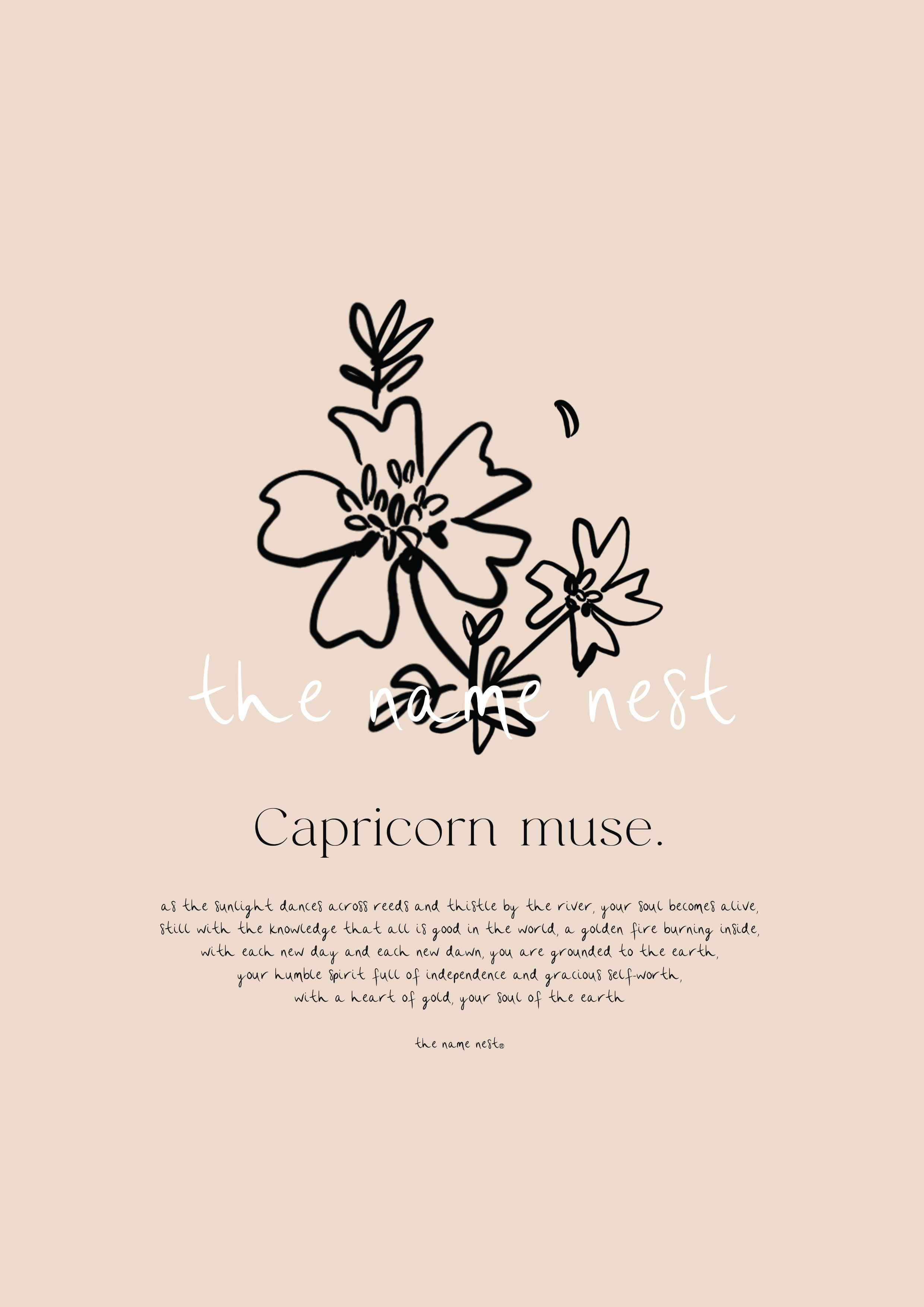 Zodiac Muse. Artworks