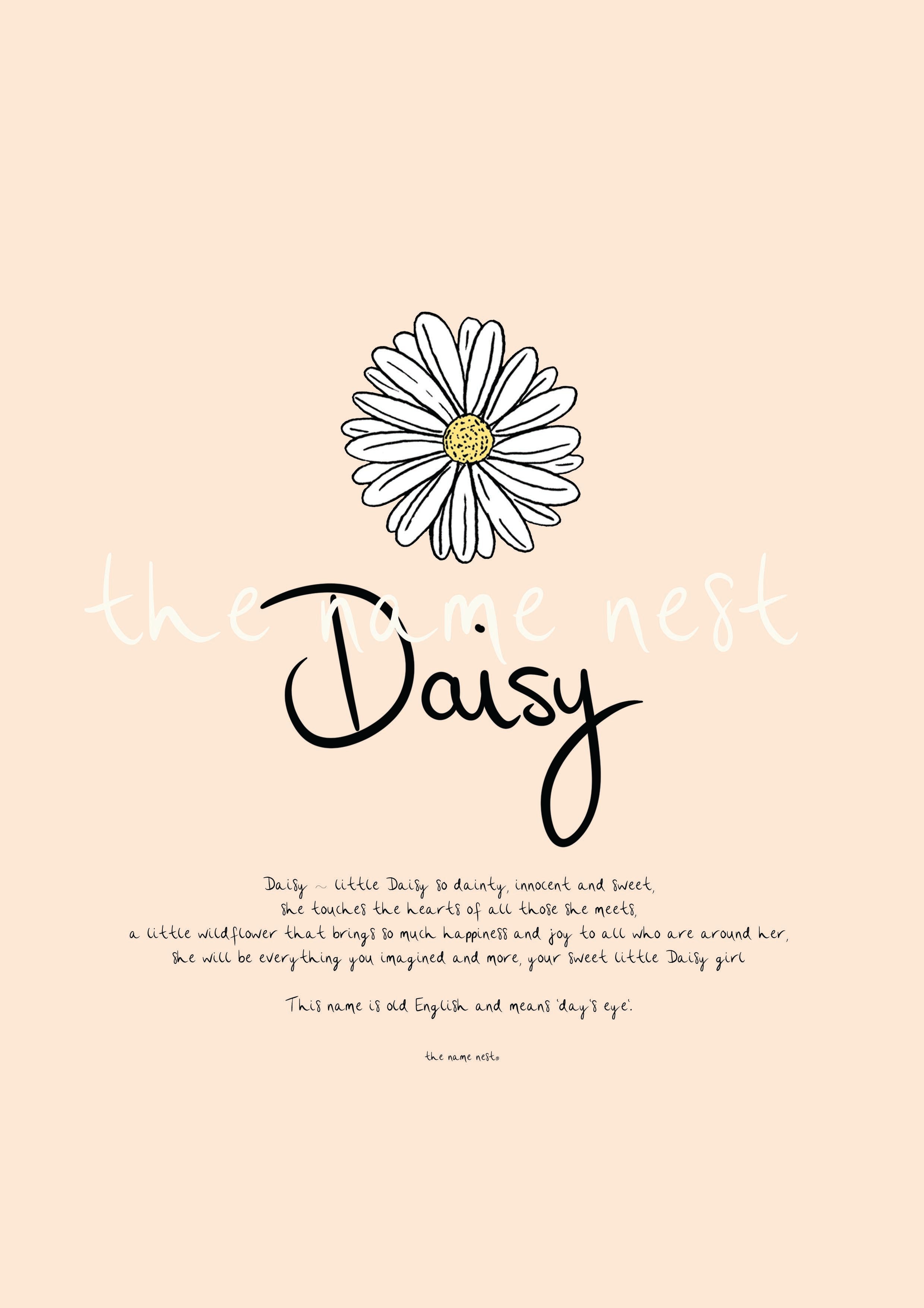 Daisy