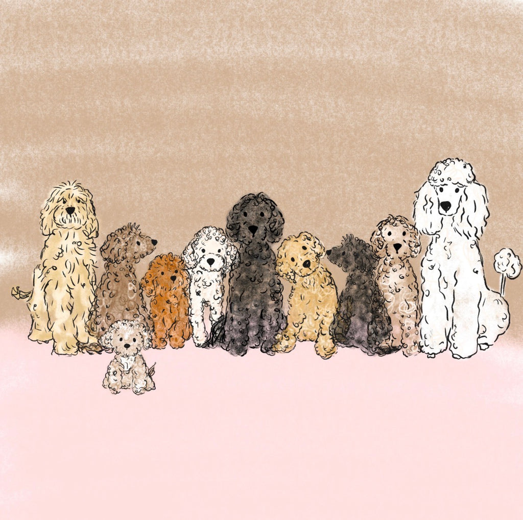 Oodles Of Poodles Named Noodles