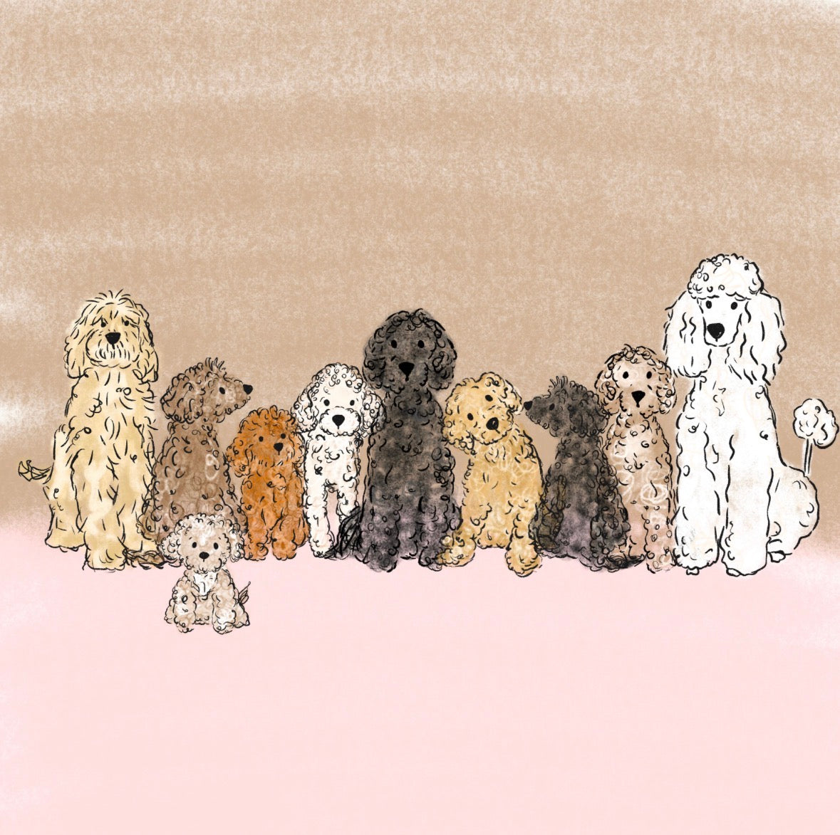 Oodles Of Poodles Named Noodles