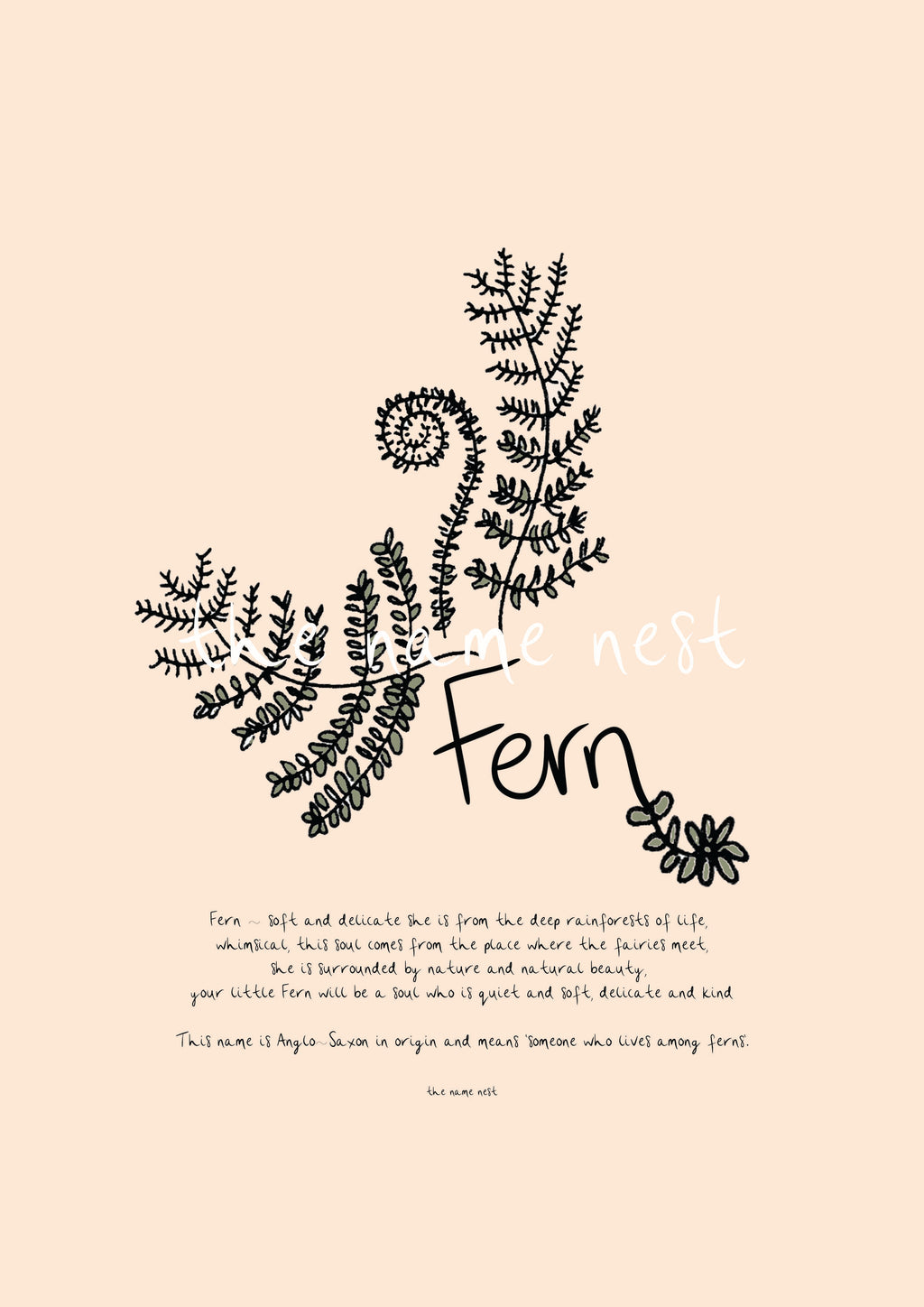 Fern
