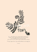 Fern