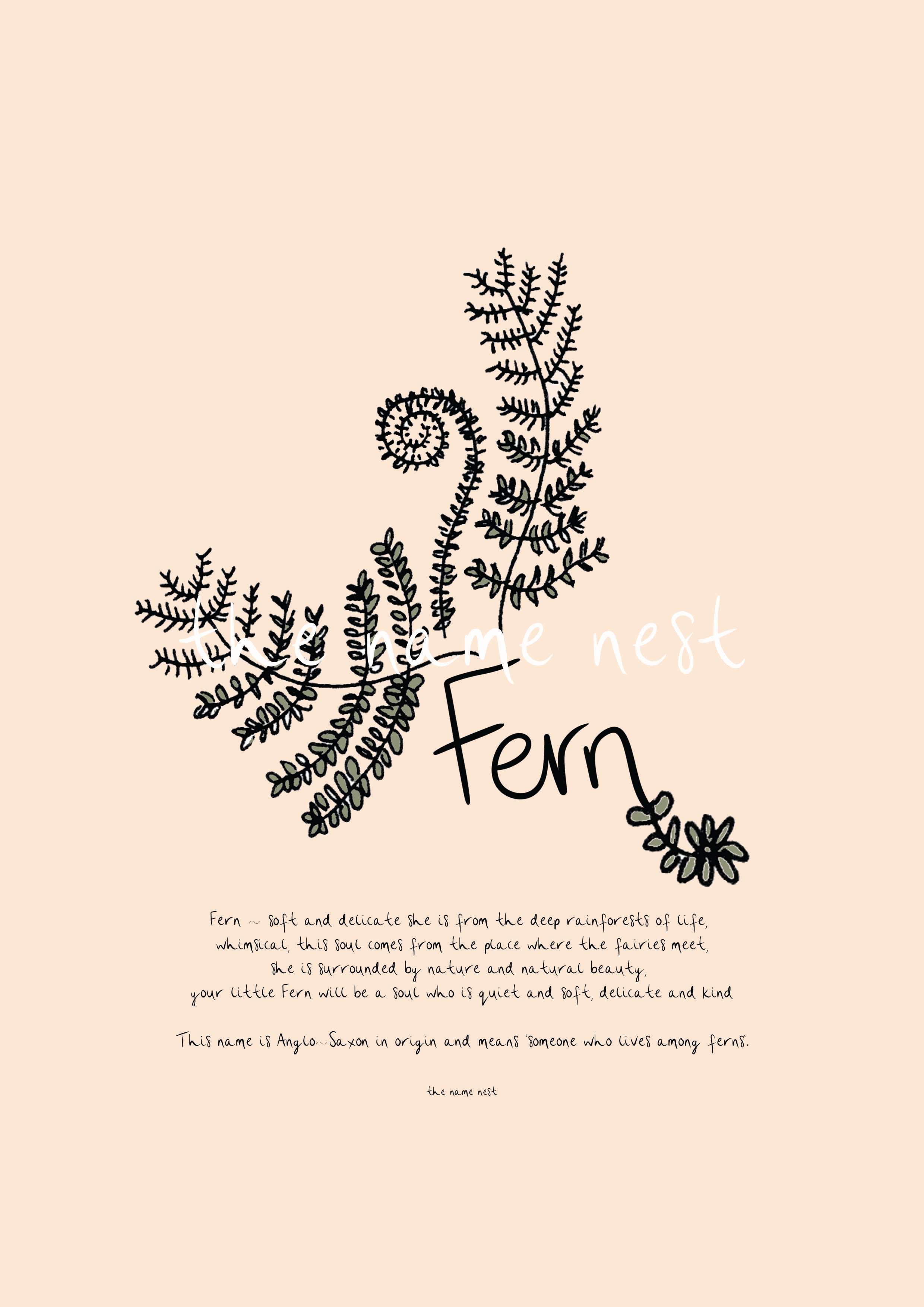 Fern