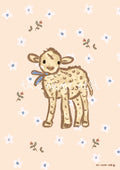 French Farmhouse Lamb