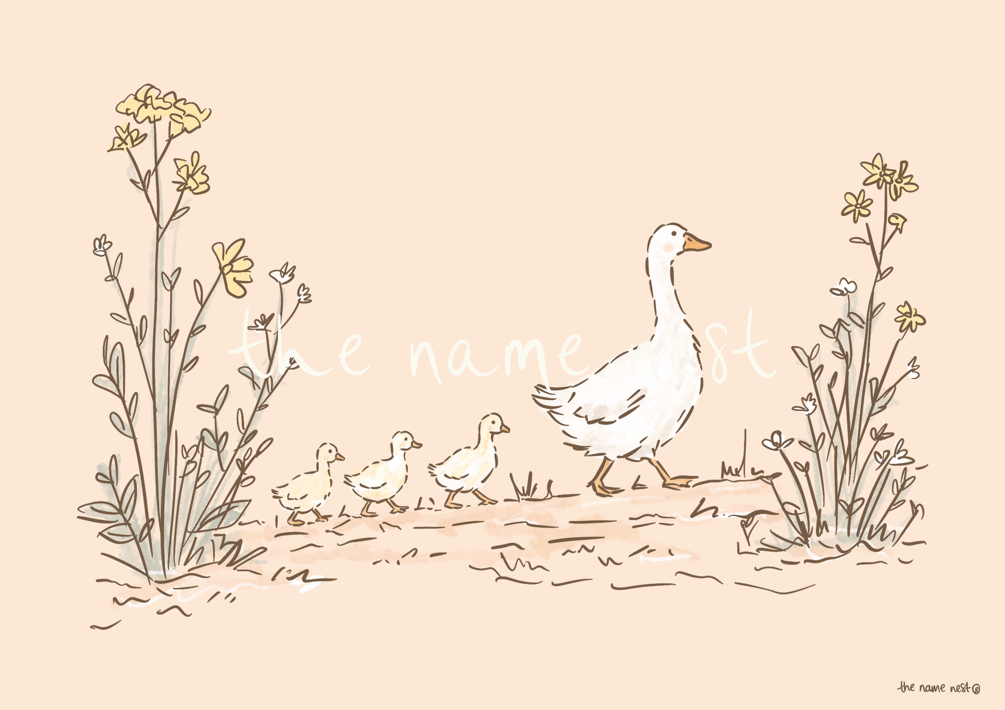 Goose Family