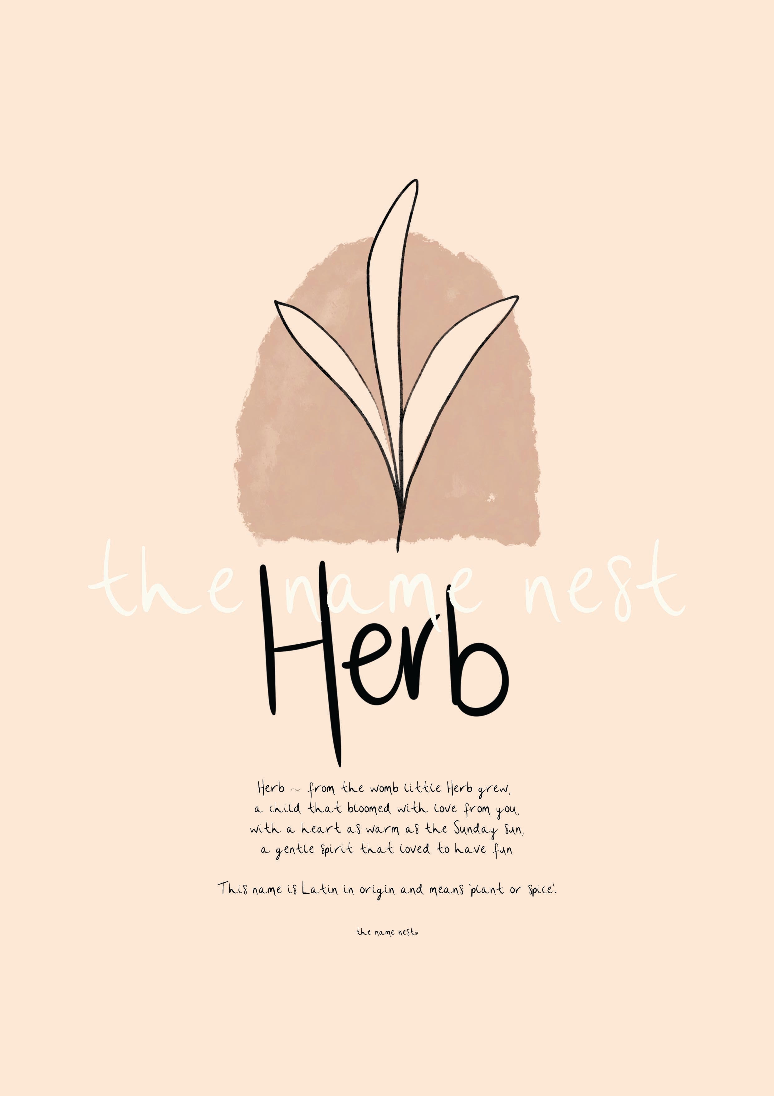 Herb