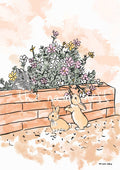 Honey, Sunny and Tully The Bunnies