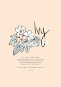 Ivy