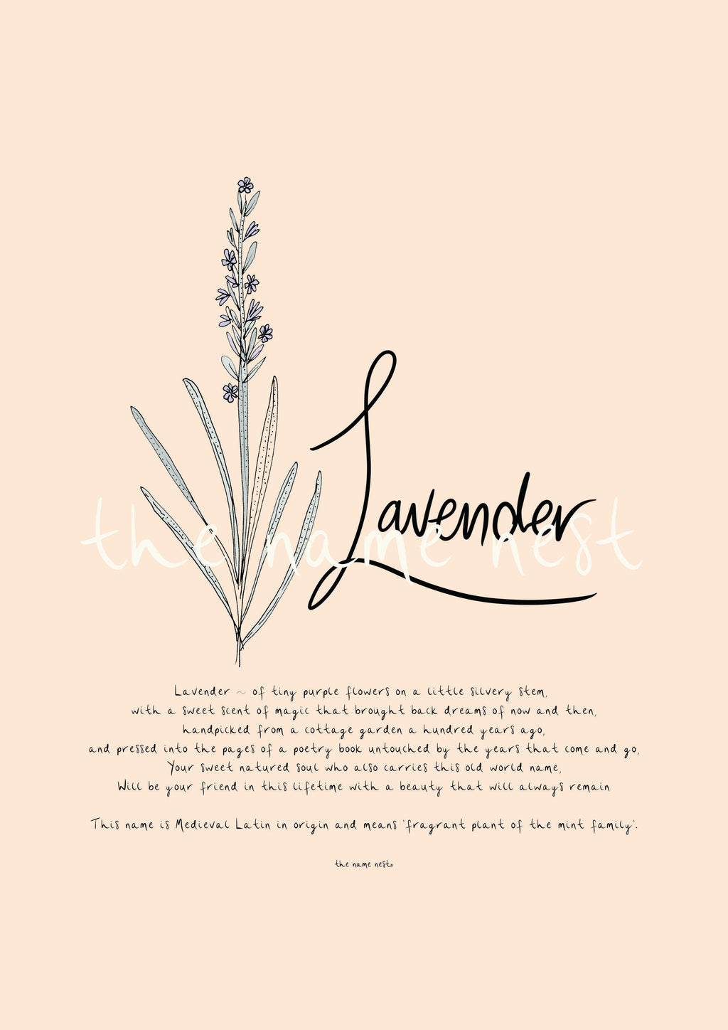 Lavender