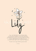 Lily