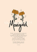Marigold