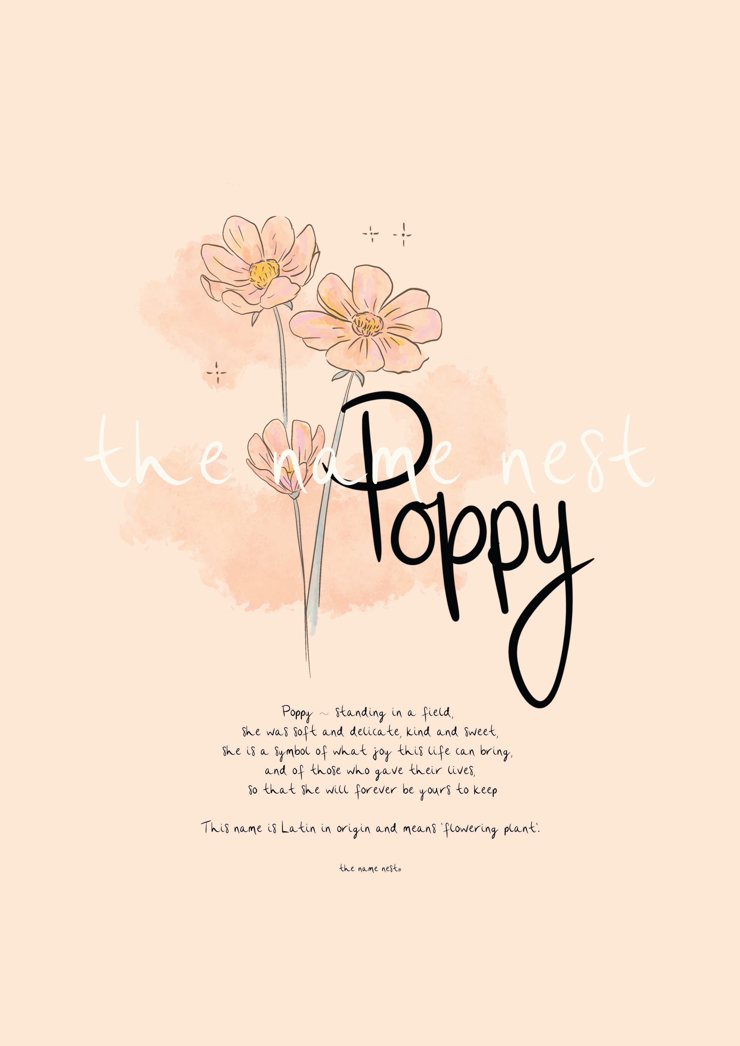 Poppy