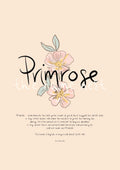 Primrose