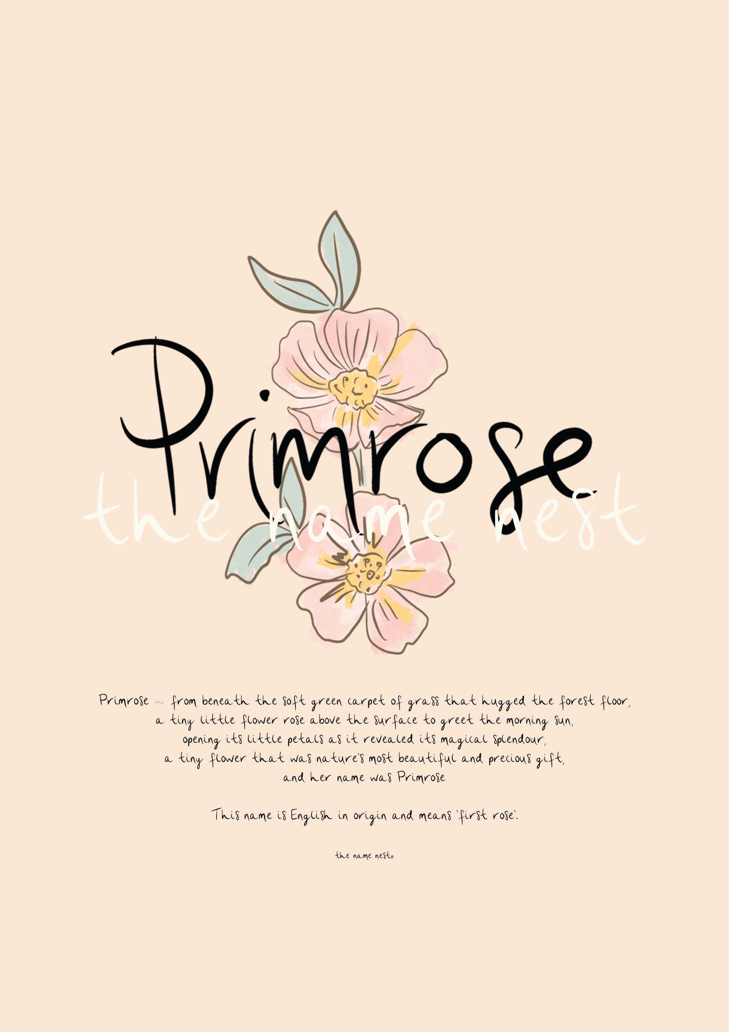 Primrose