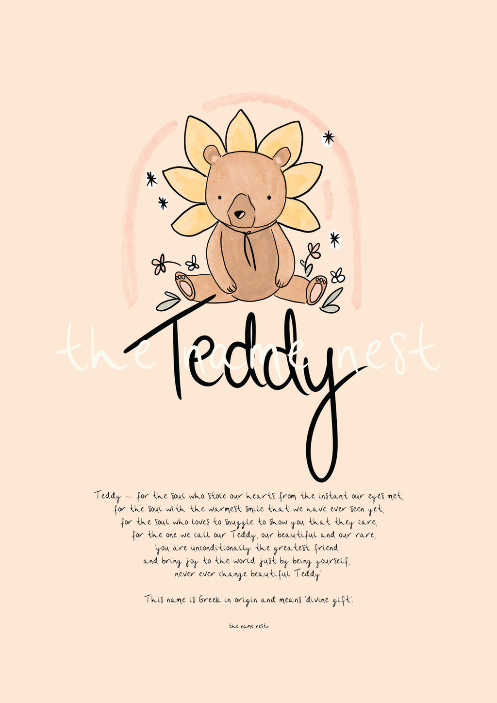Teddy