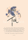 Tui
