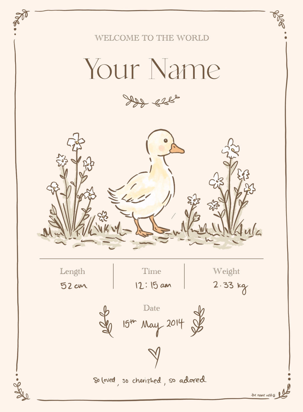 Birth Detail Duckling Artwork