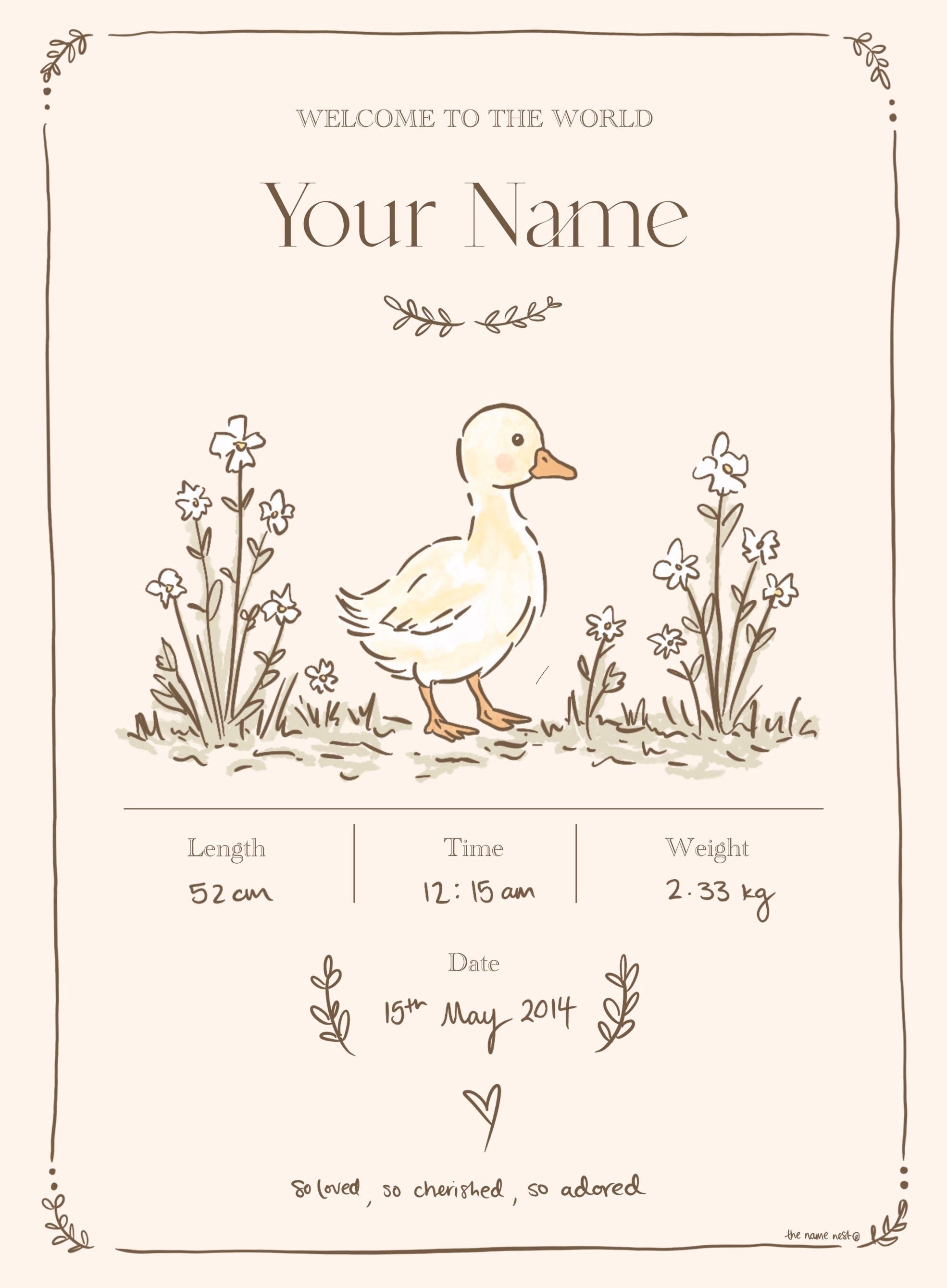 Birth Detail Duckling Artwork