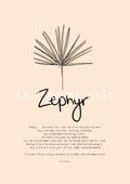 Zephyr